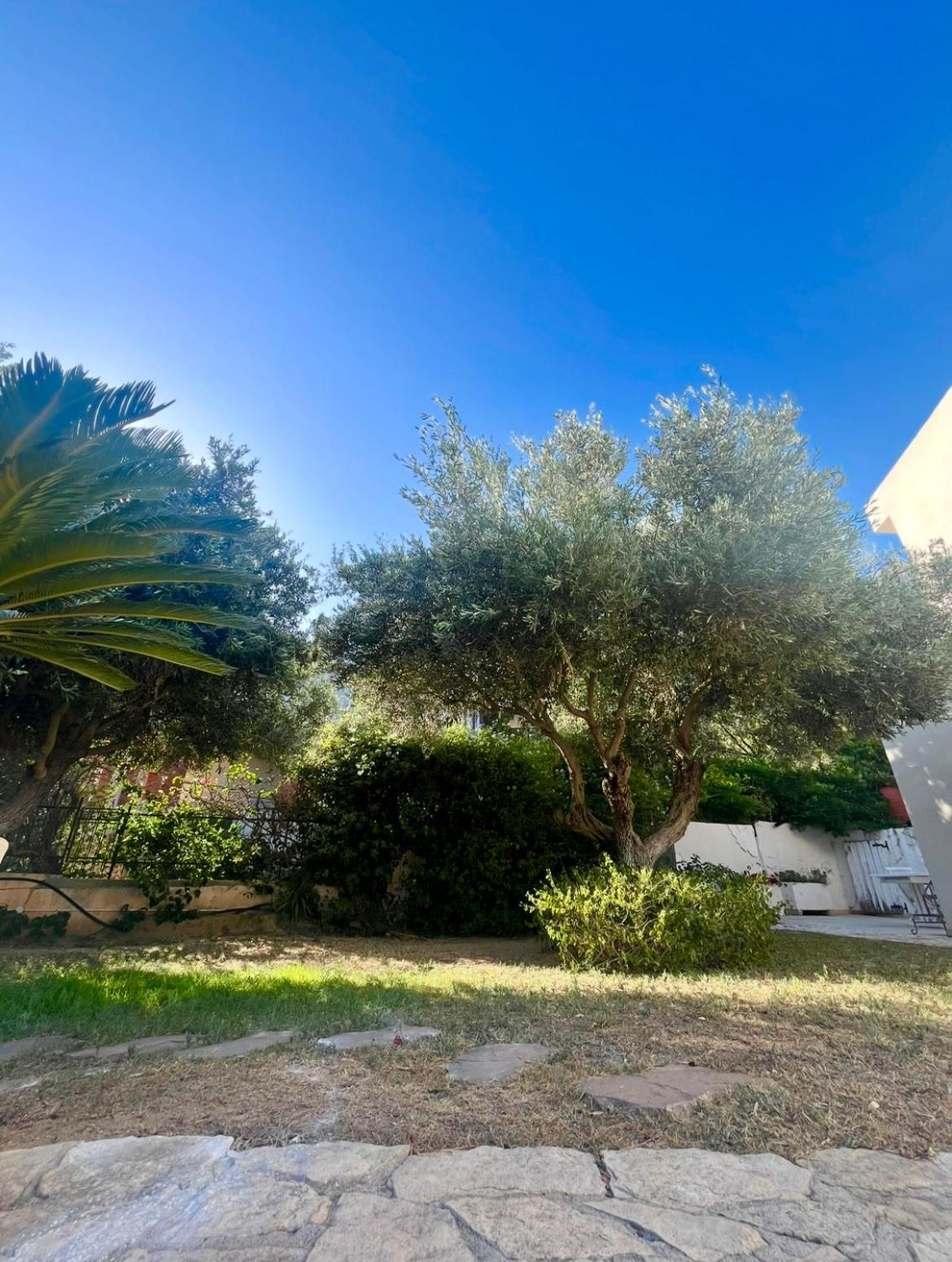 Villa Vittoria Solanas  Eksteriør bilde